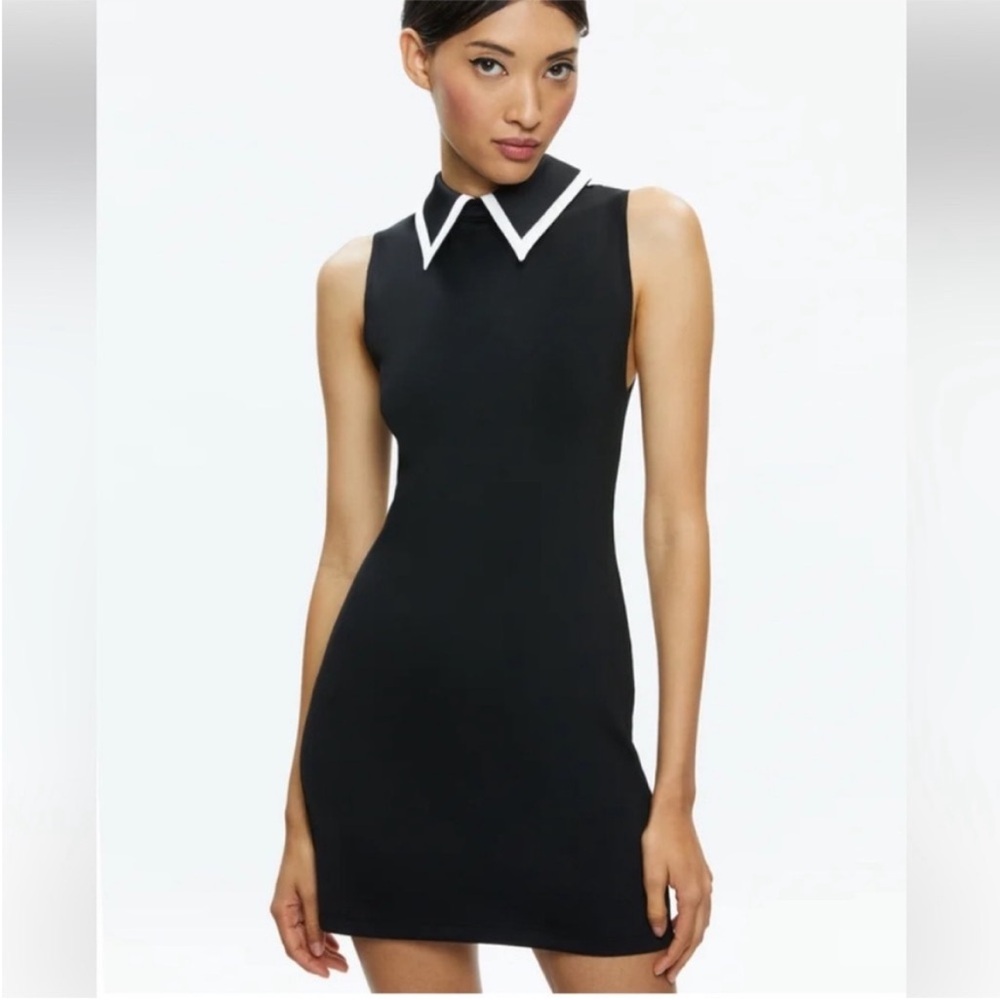 Alice + Olivia Wynell Collared Mini Dress - Picture 3 of 6